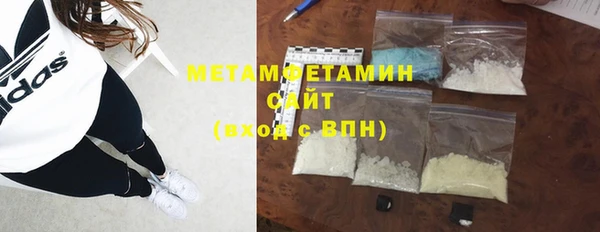 прущие грибы Волосово