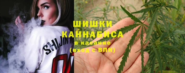 ешки Верхний Тагил