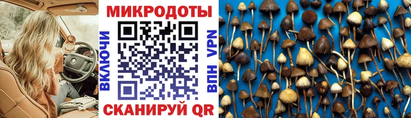 Псилоцибиновые грибы мухоморы Данков